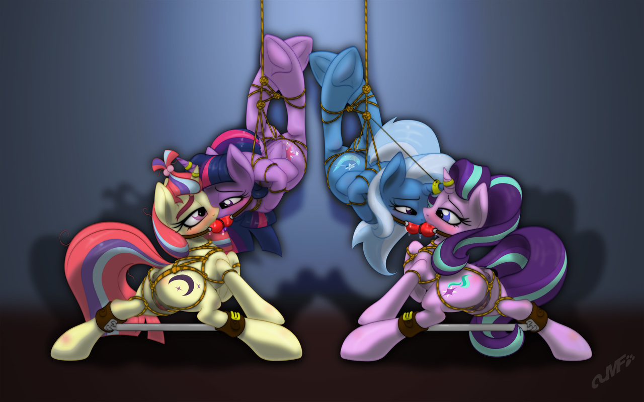 Adult erotic pony gear