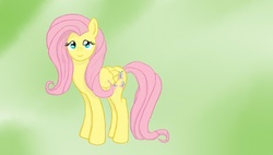 Size: 848x480 | Tagged: safe, artist:ch33zus, fluttershy, pegasus, pony, g4, female, gradient background, looking at you, mare, paint tool sai, solo