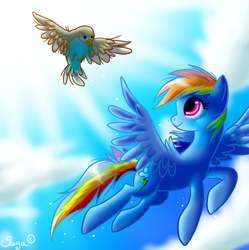 Size: 498x500 | Tagged: dead source, safe, artist:haunthid, rainbow dash, bird, pegasus, pony, g4, cloud, cloudy, day, female, flying, looking back, mare, sky, solo, spread wings, sunlight, wings