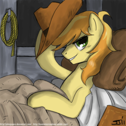 Size: 900x899 | Tagged: safe, artist:johnjoseco, braeburn, earth pony, pony, g4, adobe imageready, bed, hat, lasso, looking at you, male, morning ponies, pillow, rope, smiling, solo, stallion