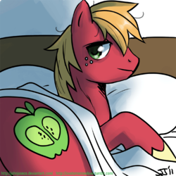 Size: 900x900 | Tagged: safe, artist:johnjoseco, big macintosh, earth pony, pony, g4, adobe imageready, bed, big backintosh, butt, colored hooves, freckles, looking at you, male, missing accessory, morning ponies, pillow, plot, solo, stallion, unshorn fetlocks