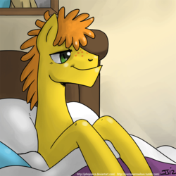 Size: 900x900 | Tagged: safe, artist:johnjoseco, carrot cake, earth pony, pony, g4, adobe imageready, male, morning ponies, pillow, solo, stallion
