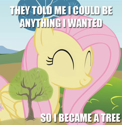 Size: 694x711 | Tagged: safe, artist:chrisboe4ever, fluttershy, pegasus, pony, g4, cute, eyes closed, female, fluttertree, image macro, leafing the dream, mare, meme, palindrome get, shyabetes, solo, text, tree