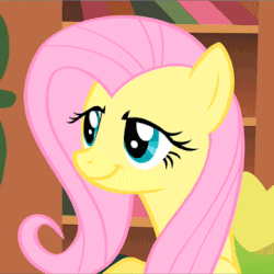 Size: 361x361 | Tagged: safe, edit, edited screencap, screencap, fluttershy, pegasus, pony, a bird in the hoof, g4, season 1, always works, animated, artifact, bad poker face, book, bookshelf, breaking the fourth wall, cropped, cute, dialogue, dreamworks face, exclamation point, faic, female, first edited screencap on derpibooru, gif, grin, image macro, looking at you, mare, meme, one of the first, raised eyebrow, reaction image, second image macro on derpibooru, shyabetes, smiling, smirk, solo, surprised, talking, text