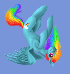 Size: 1656x1736 | Tagged: safe, artist:tzelly-el, rainbow dash, pegasus, pony, g4, blue background, female, mare, simple background, solo