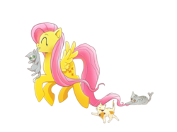 Size: 846x634 | Tagged: safe, artist:los-chainbird, fluttershy, cat, pegasus, pony, g4, adobe imageready, eyes closed, female, happy, mare, mouth hold, scruff, simple background, solo, transparent background