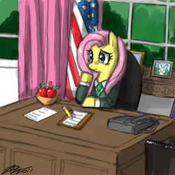 Size: 900x900 | Tagged: safe, artist:johnjoseco, fluttershy, pegasus, pony, g4, clothes, desk, female, mare, photoshop, president, sitting, solo