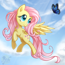 Size: 900x895 | Tagged: dead source, safe, artist:metalpandora, fluttershy, butterfly, pegasus, pony, g4, crepuscular rays, female, flying, looking at something, mare, photoshop, sky, smiling, solo, spread wings, turned head, wings