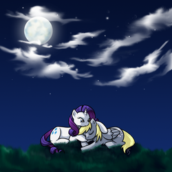 Size: 960x960 | Tagged: dead source, safe, artist:theforbiddensecrets, derpy hooves, rarity, pegasus, pony, unicorn, g4, adobe imageready, derpity, description in comments, female, lesbian, mare, moon, night, prone, shipping, sleeping