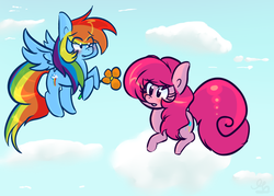 Size: 700x500 | Tagged: dead source, safe, artist:strobo-pop, pinkie pie, rainbow dash, earth pony, pegasus, pony, g4, alternate hairstyle, cloud, cloudy, female, flower, flying, lesbian, mare, ship:pinkiedash, shipping