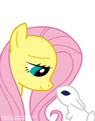 Size: 780x1000 | Tagged: dead source, safe, artist:miketheuser, angel bunny, fluttershy, pegasus, pony, g4, eye contact, female, looking at each other, mare, photoshop, simple background, transparent background
