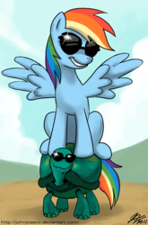 Size: 800x1210 | Tagged: safe, artist:johnjoseco, rainbow dash, tank, pegasus, pony, tortoise, g4, adobe imageready, duo, female, mare, rainbow dash riding tank, riding, sunglasses, too cool for school
