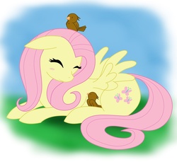Size: 1000x915 | Tagged: dead source, safe, artist:volmise, fluttershy, bird, pegasus, pony, g4, blushing, eyes closed, female, floppy ears, mare, photoshop, prone, solo