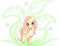 Size: 900x700 | Tagged: dead source, safe, artist:ninjaham, fluttershy, pegasus, pony, g4, acdsee, female, mare, raised hoof, solo