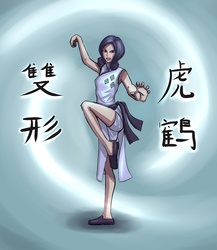 Size: 1300x1500 | Tagged: dead source, safe, artist:ninjaham, rarity, human, g4, abstract background, acdsee, action pose, cheongsam, chinese, clothes, female, humanized, kung fu, martial artist rarity, solo, text
