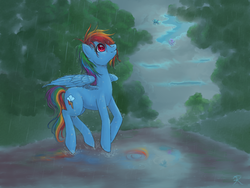 Size: 1024x768 | Tagged: safe, artist:snip-veritas, rainbow dash, oc, pegasus, pony, g4, cloud, cloudy, female, looking up, mare, puddle, rain, reflection, tree, trio, wet, wet mane