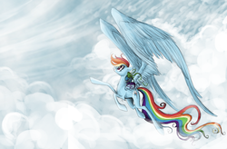 Size: 1500x982 | Tagged: safe, artist:nastylady, rainbow dash, pegasus, pony, g4, cloud, female, flying, large wings, mare, photoshop, sky, solo