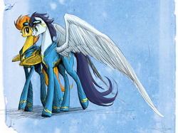 Size: 1072x800 | Tagged: safe, artist:nastylady, soarin', spitfire, pegasus, pony, g4, female, large wings, male, mare, photoshop, stallion, wings, wonderbolts