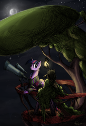 Size: 732x1072 | Tagged: safe, artist:nastylady, owlowiscious, twilight sparkle, pony, unicorn, g4, balcony, bipedal, bipedal leaning, clothes, duo, female, lantern, leaning, mare, night, photoshop, scarf, telescope