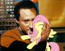 Size: 402x318 | Tagged: safe, edit, edited screencap, screencap, fluttershy, android, human, pegasus, pony, robot, g4, crossover, data, duo, female, grin, happy, hilarious in hindsight, irl, irl human, mare, photo, ponies in real life, smiling, star trek, star trek: the next generation