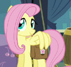 Size: 320x302 | Tagged: safe, screencap, fluttershy, pegasus, pony, g4, putting your hoof down, season 2, animated, cropped, female, saddle bag, smiling, solo, talking, wing hands