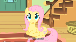 Size: 640x355 | Tagged: safe, screencap, fluttershy, pegasus, a bird in the hoof, g4, my little pony: friendship is magic, basket, floor, fluttershy's cottage (interior), solo, youtube caption