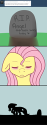 Size: 1200x3198 | Tagged: safe, artist:darkaiya, angel bunny, fluttershy, ask sombershy, g4, ask, feels, grave, harsher in hindsight, sad, tumblr