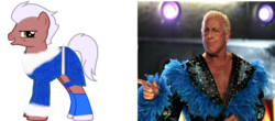 Size: 900x395 | Tagged: safe, artist:kuren247, human, irl, photo, ponified, rick flair, wwe