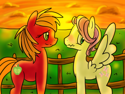 Size: 800x600 | Tagged: safe, artist:anaxboo, big macintosh, fluttershy, earth pony, pegasus, pony, g4, butterscotch, duo, female, macareina, male, rule 63, ship:butterreina, ship:fluttermac, shipping, straight, sunset, wavy mouth, wingboner