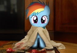 Size: 528x360 | Tagged: safe, artist:chubble-munch, artist:loneart8100, rainbow dash, fanfic:my little dashie, g4, candy, cute, dashabetes, filly, irl, looking at you, photo, ponies in real life