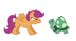 Size: 863x467 | Tagged: safe, artist:doodlinjaz, scootaloo, tank, pegasus, pony, tortoise, g4, duo, female, filly, foal, jealous, simple background, transparent background