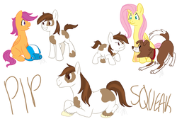 Size: 1781x1200 | Tagged: dead source, safe, artist:cartoonlion, fluttershy, pipsqueak, scootaloo, winona, dog, earth pony, pegasus, pony, g4, colt, female, filly, male, mare, nudity, sheath, sitting, stallion