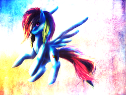 Size: 1600x1200 | Tagged: safe, artist:pony-of-equestria, rainbow dash, g4, wallpaper