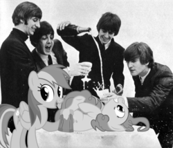 Size: 604x516 | Tagged: safe, artist:deistar, pinkie pie, rainbow dash, human, pony, g4, alcohol, cider, drinking, george harrison, irl, john lennon, paul mccartney, photo, ponies in real life, ringo starr, the beatles, vector