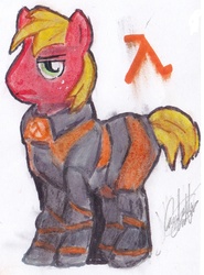 Size: 768x1036 | Tagged: safe, artist:gaboooparzhat, big macintosh, earth pony, pony, g4, half-life, male, stallion