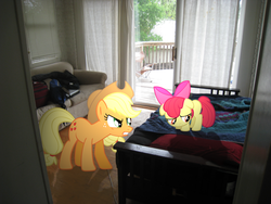 Size: 3264x2448 | Tagged: safe, artist:pangbot, artist:smlahyee, apple bloom, applejack, earth pony, pony, g4, bed, couch, high res, irl, photo, ponies in real life, shadow, vector