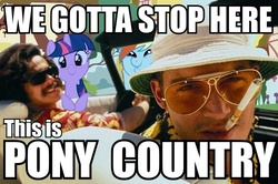 Size: 500x332 | Tagged: safe, rainbow dash, twilight sparkle, g4, crossover, dashface, fear and loathing in las vegas, image macro, raoul duke, we can't stop here this is bat country