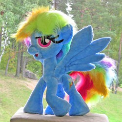 Size: 1500x1500 | Tagged: artist needed, dead source, safe, rainbow dash, g4, auction, ebay, irl, nightmare fuel, photo, plushie