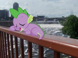 Size: 600x450 | Tagged: safe, edit, spike, g4, irl, minneapolis, minnesota, mississippi river, photo, ponies in real life, river, sleeping, solo