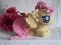 Size: 900x675 | Tagged: safe, artist:plushprincess, fluttershy, pony, g4, flower, irl, photo, plushie, solo