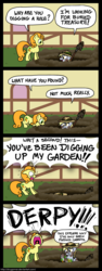 Size: 600x1601 | Tagged: safe, artist:zicygomar, carrot top, derpy hooves, golden harvest, earth pony, pegasus, pony, g4, background pony, carrot top is not amused, comic, digging, duo, female, hat, hole, mare, shovel