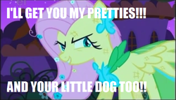 Size: 633x361 | Tagged: safe, edit, edited screencap, screencap, fluttershy, pegasus, pony, g4, my little pony: friendship is magic, season 1, the best night ever, clothes, dress, evil smile, female, gala dress, grin, image macro, scratches, smiling, solo, the wizard of oz, wicked witch