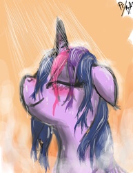 Size: 2550x3300 | Tagged: safe, artist:peperoger, twilight sparkle, pony, g4, blushing, eyes closed, female, high res, mare, shower, signature, smiling, solo, steam, wet, wet mane