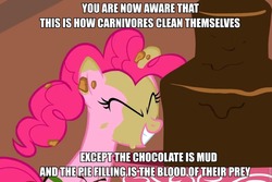 Size: 960x640 | Tagged: safe, edit, edited screencap, screencap, pinkie pie, a bird in the hoof, g4, my little pony: friendship is magic, caption, chocolate fountain, image macro, meta, pie