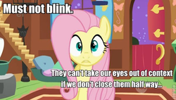 Size: 600x340 | Tagged: safe, edit, edited screencap, screencap, fluttershy, pegasus, pony, g4, caption, female, image macro, mare, meta, out of context, solo