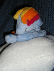 Size: 1200x1600 | Tagged: artist needed, safe, rainbow dash, g4, irl, photo, plushie, sleeping