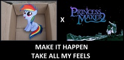 Size: 1622x792 | Tagged: safe, rainbow dash, fanfic:my little dashie, g4, all caps, exploitable meme, game, make it happen, meme, meta, princess maker