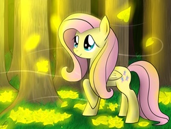 Size: 2000x1500 | Tagged: safe, artist:4shapr, fluttershy, g4, autumn, leaves