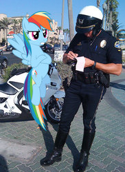 Size: 458x630 | Tagged: safe, rainbow dash, human, pony, g4, annoyed, crossed hooves, flying, frown, gritted teeth, irl, motorcycle, photo, police, police officer, ponies in real life, speeding ticket, spread wings, traffic stop