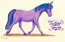 Size: 3057x1961 | Tagged: safe, artist:aneru, twilight sparkle, pony, unicorn, g4, hoers, realistic, traditional art